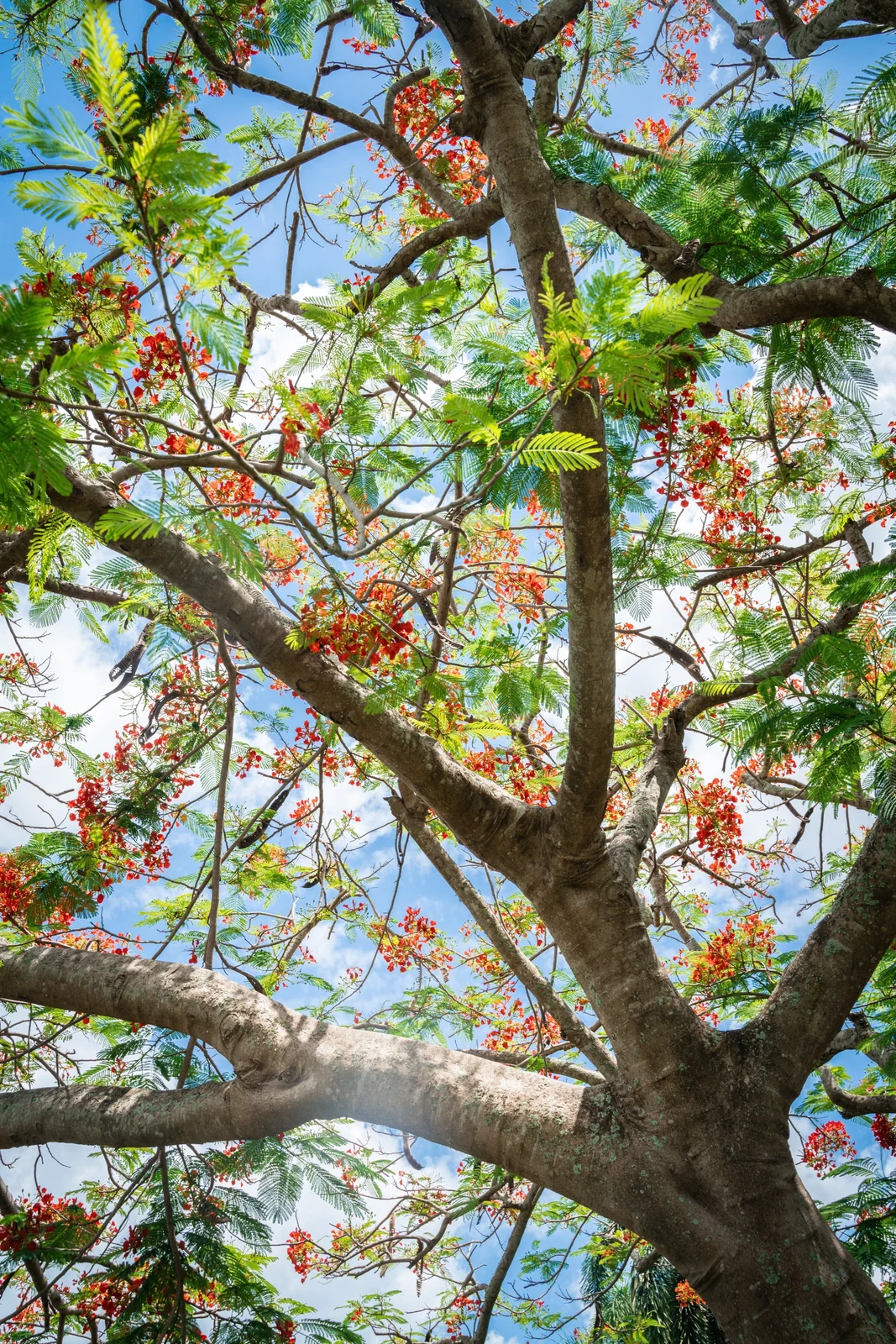 Fine-art photograph by Adam J Friedman