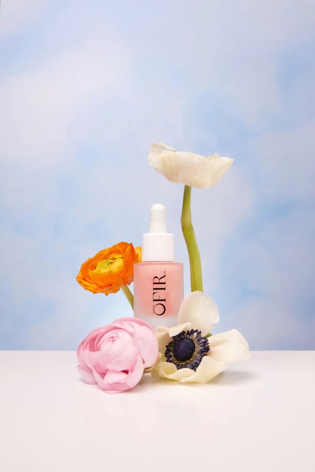Still life photography