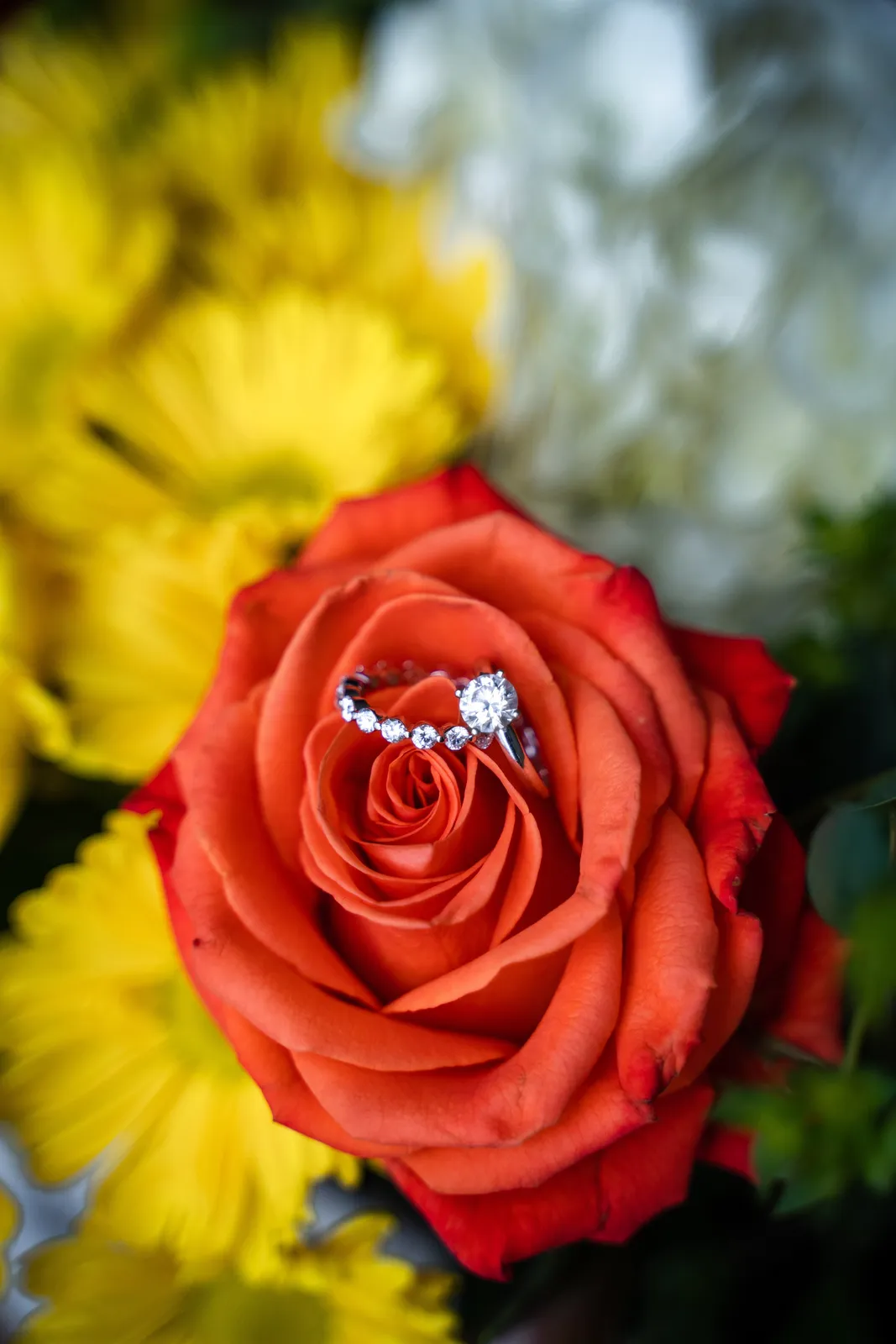 Wedding photo 3